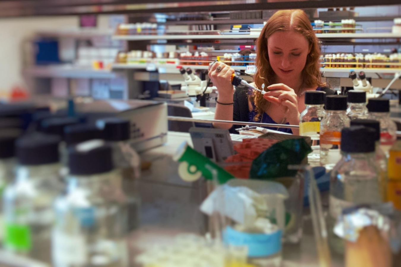 New biotechnologies revealed at inaugural Penn State BioTech Discovery ...